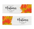 Autumn sale banner set with leaves.