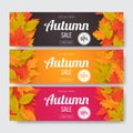 Autumn sale banner set with leaves.