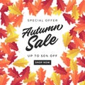 Autumn sale banner for shopping sale. Colorful autumn leaves background.