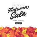 Autumn sale banner for shopping sale. Colorful autumn leaves background.