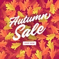 Autumn sale banner for shopping sale. Colorful autumn leaves background.