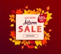 Autumn sale banner with square frame, fall leaves. Royalty Free Stock Photo