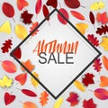 Autumn sale banner with square frame and falling leaves. Royalty Free Stock Photo