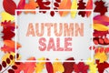 Autumn sale banner template with drop shadow frame and leaves. Royalty Free Stock Photo