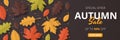 Autumn Sale banner template. Folded Paper art. Vector illustration