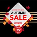 Autumn sale banner template with leaves, fall leaves for shopping sale. banner design. Poster, card, label, web banner. Vector ill