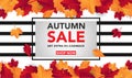 Autumn sale banner template with leaves, fall leaves for shopping sale. banner design. Poster, card, label, web banner. Vector ill