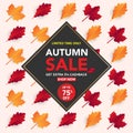 Autumn sale banner template with leaves, fall leaves for shopping sale. banner design. Poster, card, label, web banner. Vector ill