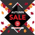 Autumn sale banner template with leaves, fall leaves for shopping sale. banner design. Poster, card, label, web banner. Vector ill