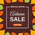 Autumn sale banner. Vector illustration. Flyer template with fall leaves Royalty Free Stock Photo
