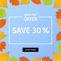 Autumn sale banner. Vector illustration. Poster template with fa Royalty Free Stock Photo