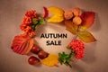 Autumn Sale banner with a wreath of chestnuts, nuts, and fall leaves, a flat lay, shot from the top Royalty Free Stock Photo