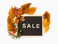 Autumn sale: blackboard with word Sale framed with yellow fall leaves and rowan branches and berries on white background Royalty Free Stock Photo