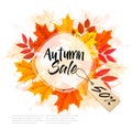 Autumn Sale Card With Colorful Leaves.