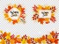 Autumn Sale Card With Colorful Leaves.