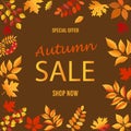 Autumn sale card design. Autumn fall concept with leaves. Quote - sale best price Seasonal poster concept. Typography