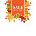 Autumn Sale - Colorful Leaves Background