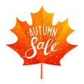 Autumn sale concept Royalty Free Stock Photo
