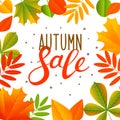 Autumn sale concept Royalty Free Stock Photo