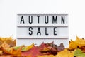 Autumn sale concept. Promotional discount banner on background of yellow fallen leaves.