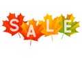 Autumn sale concept Royalty Free Stock Photo