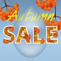 Autumn sale design. Fall discount. The inscription with maple leaves and branch of rowan with raindrops. Can be used in business f Royalty Free Stock Photo