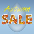 Autumn sale design. Fall discount poster. The inscription with maple leaves and branch of rowan with raindrops. Can be used in bus Royalty Free Stock Photo