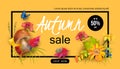 Autumn Sale Design Royalty Free Stock Photo