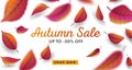 Autumn sale digital poster, banner sale advertising with red and orange leaves fall, 3d space graphic on white backdrop