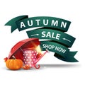 Autumn sale, discount clickable web banner in the form of ribbons with garden watering can, umbrella and ripe pumpkin