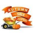 Autumn sale, discount clickable web banner in the form of ribbons with garden wheelbarrow with a harvest of pumpkins.