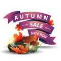 Autumn sale, discount clickable web banner in the form of ribbons with mushrooms and autumn leaves