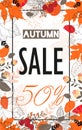 Autumn sale. Fall season sale and discounts banner. Colorful autumn leaves headline and sale invitation on white background. Royalty Free Stock Photo