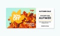 Autumn sale fall season gift voucher card template design with coupon code on dry leaves background vector illustration Royalty Free Stock Photo