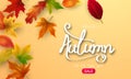 Autumn sale falling leaves background nature