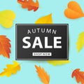 Autumn Sale Fashionable Banner Template with Colorful Fall Leaves Royalty Free Stock Photo