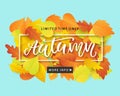 Autumn Sale Fashionable Banner Template with Colorful Fall Leaves on bright trendy blue background