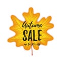 Autumn sale flyer with bright leaf on white background. Vector illustration Royalty Free Stock Photo