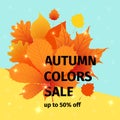 Autumn sale flyer colorful template with bright autumn leaves. Poster, banner design for seasonal sale Royalty Free Stock Photo