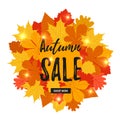 Autumn sale flyer colorful template with bright october leaves. Poster, banner design for seasonal sale Royalty Free Stock Photo