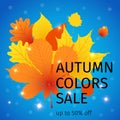 Autumn sale flyer colorful template with autumn leaves on bright background. Poster, banner design Royalty Free Stock Photo