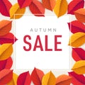 Autumn sale flyer template. Bright colorful fall leaves. Poster, card, label, web banner. Seasonal Thanksgiving design Royalty Free Stock Photo