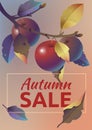 Autumn sale. A4 format layout with apples, yellow leaves and tex