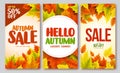 Autumn sale and hello autumn vector design set of posters and background