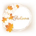 Autumn sale horizontal banner with isolated golden frame and gold autumn leaves. Vector illustration white isolated poster Royalty Free Stock Photo