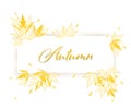 Autumn sale horizontal banner with isolated golden frame and gold outline autumn leaves. Vector illustration poster background Royalty Free Stock Photo