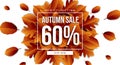 Autumn sale horizontal banner tamplate. Fall leaves flyer, poster, card, label design. Vector illustration EPS10 Royalty Free Stock Photo