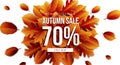 Autumn sale horizontal banner tamplate. Fall leaves flyer, poster, card, label design. Vector illustration EPS10 Royalty Free Stock Photo