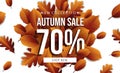 Autumn sale horizontal banner tamplate. Fall leaves flyer, poster, card, label design. Vector illustration EPS10 Royalty Free Stock Photo