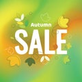 Autumn Sale illustration template. Vector illustration of Fall with bright gradient.